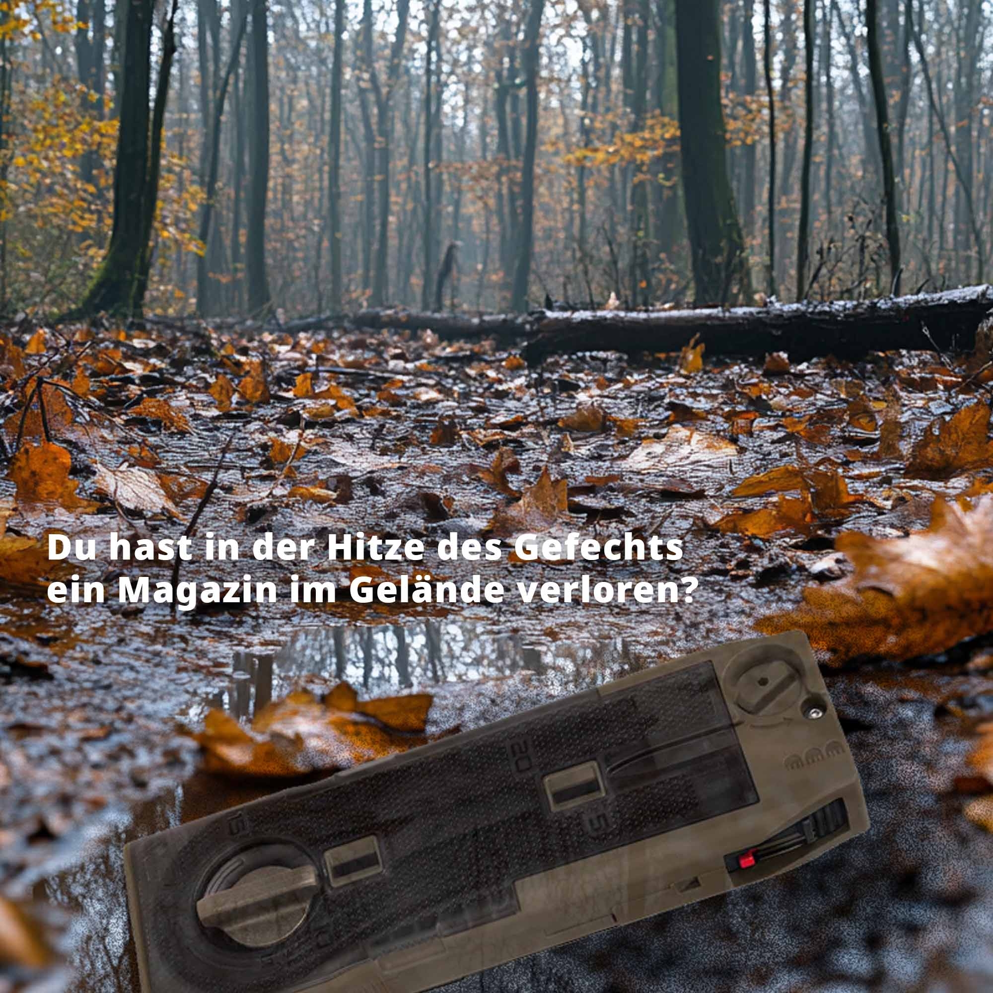 Pflanzenwuchs, Wald, Blatt, Fotografie, Grove