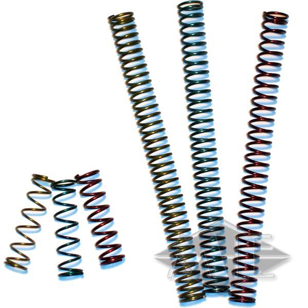 Spyder PPD Tuningfeder Set, 3 Hauptfedern, 3 Ventilfedern